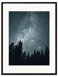 Impresión de arte enmarcada  Cielo estrellado sobre las copas de los árboles - Lukas Saalfrank