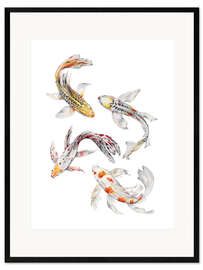 Impresión de arte enmarcada  Koi fish - Wandering Laur